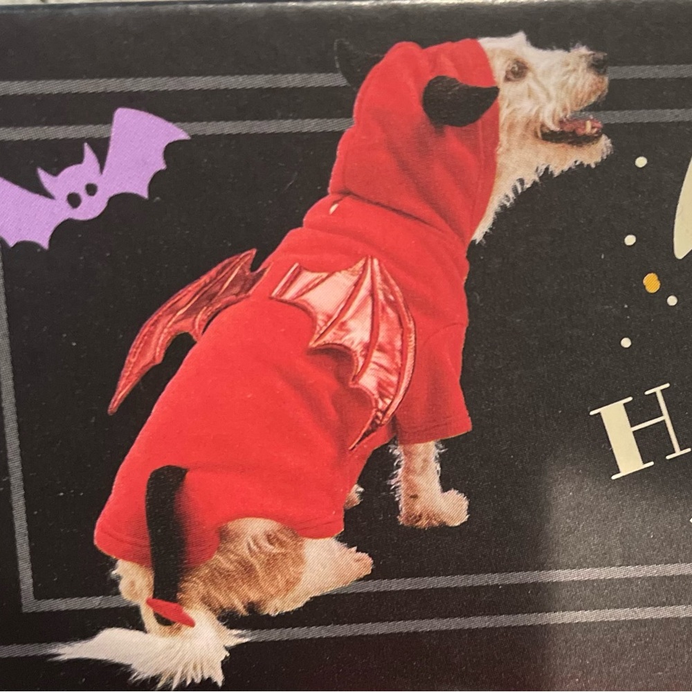 Pet Halloween Hoodie